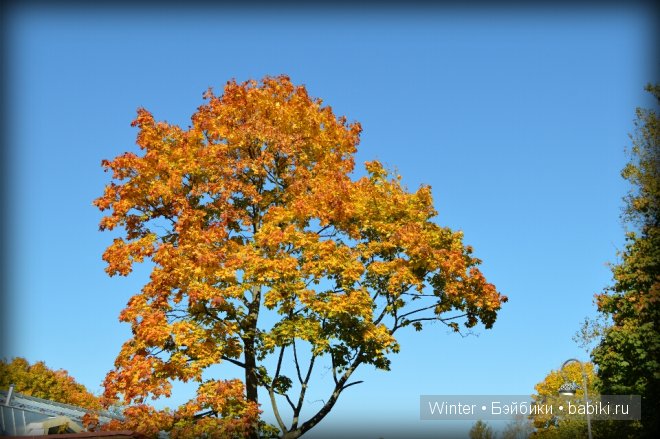 Очарование осени — Куклы Fairyland (ФэйриЛэнд): BJD (БЖД)