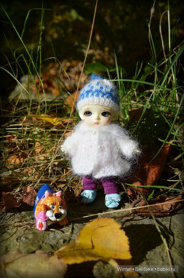 Очарование осени — Куклы Fairyland (ФэйриЛэнд): BJD (БЖД)