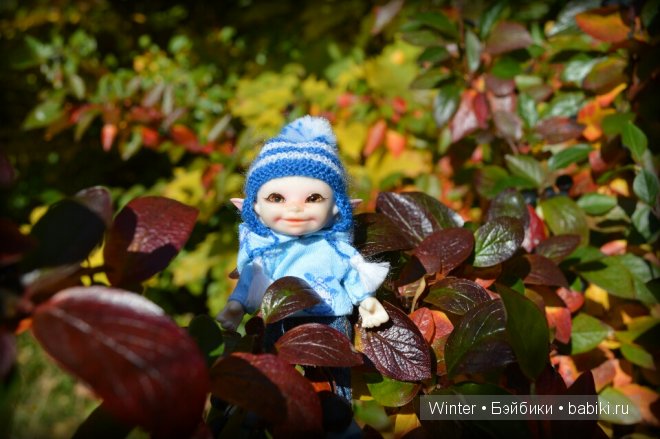 Очарование осени — Куклы Fairyland (ФэйриЛэнд): BJD (БЖД) (фото 9)