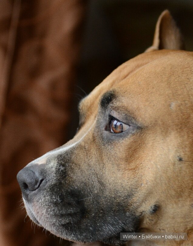 И наши конкурсные зарисовки (фото 2)