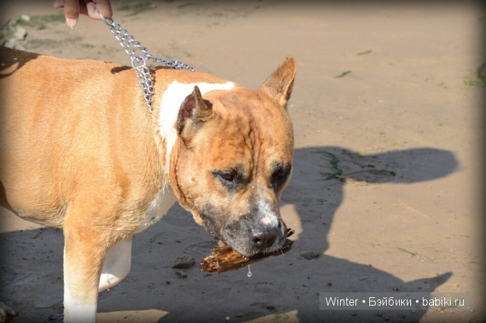И наши конкурсные зарисовки