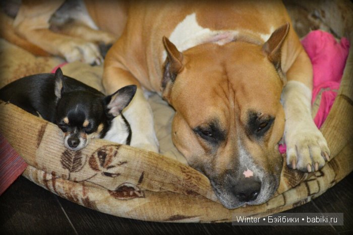 И наши конкурсные зарисовки (фото 3)