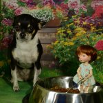 И наши конкурсные зарисовки