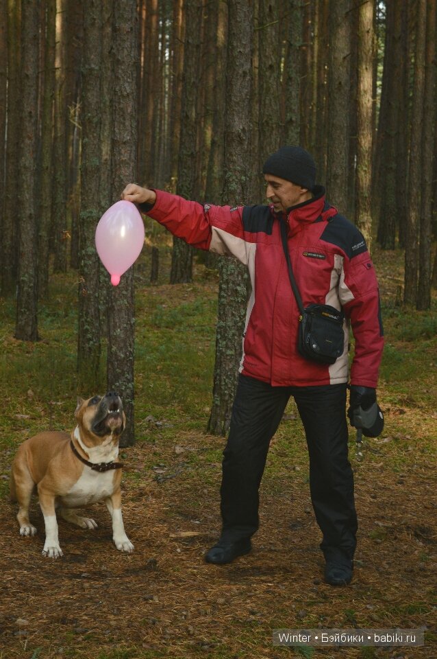 На прогулку мы ходили | Бэйбики На прогулку мы ходили — Куклы Latidoll (Лати): BJD (БЖД)