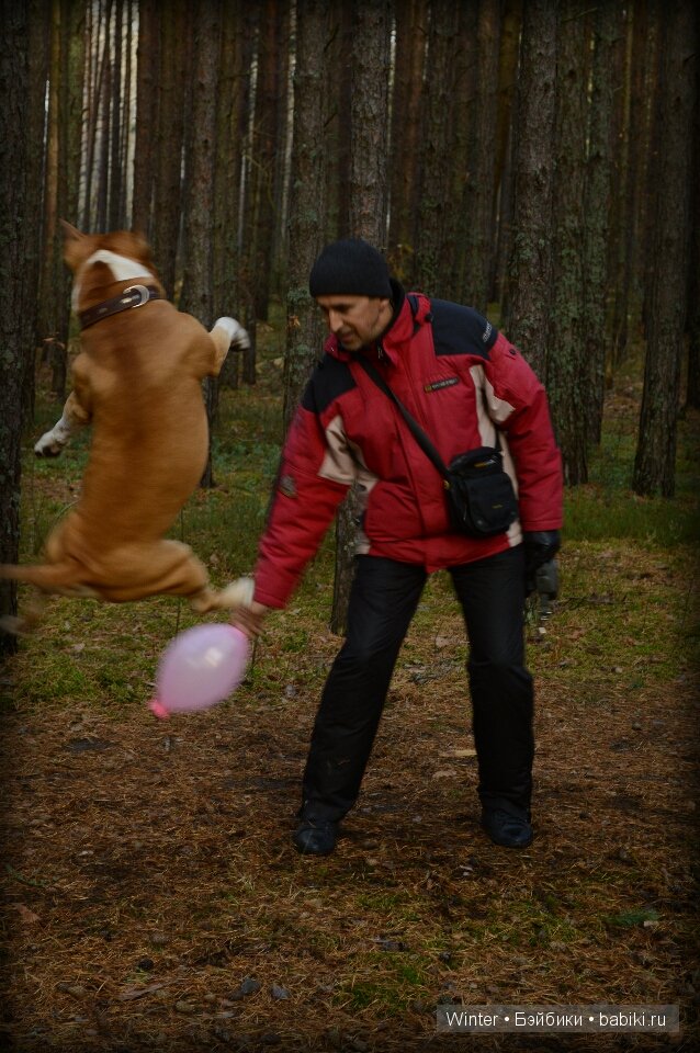 На прогулку мы ходили | Бэйбики На прогулку мы ходили — Куклы Latidoll (Лати): BJD (БЖД)