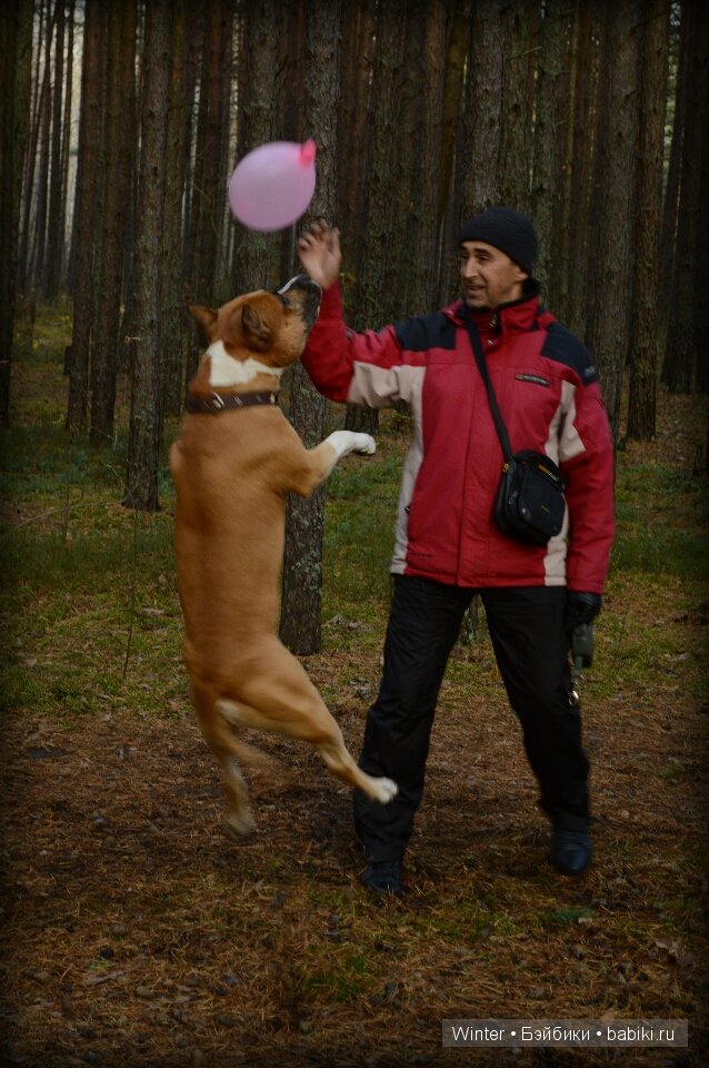 На прогулку мы ходили | Бэйбики На прогулку мы ходили — Куклы Latidoll (Лати): BJD (БЖД)