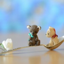 Миники, мишки тедди