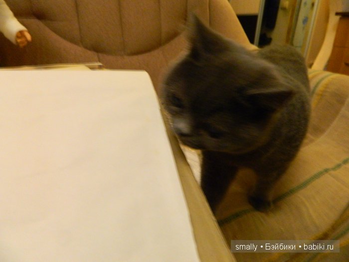 Волшебное слово: ДЕ-Боксинг... Новые открытия (фото 7)