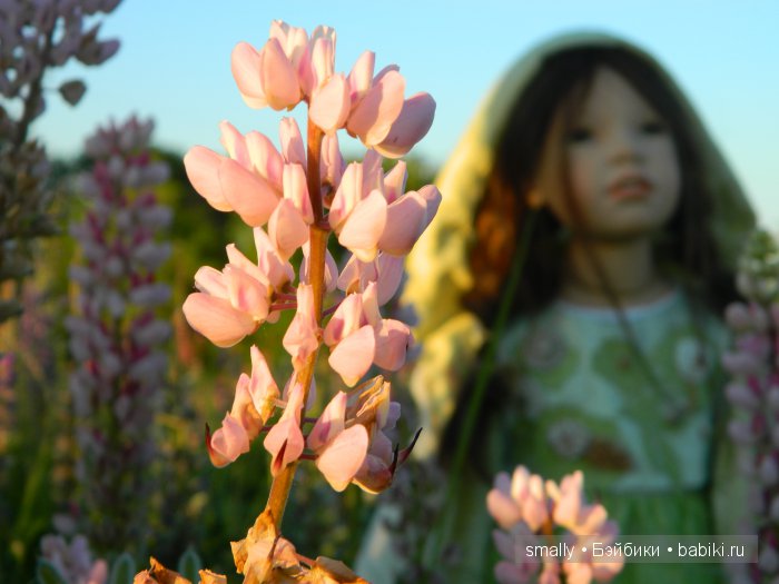 О, пани Дина, пани Дина | Бэйбики О, пани Дина, пани Дина — Куклы Zawieruszynski (Заверужински): винил (фото 10)