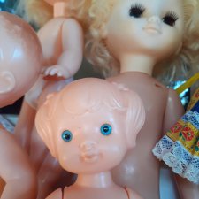 Жители старого сундука, или "все в сад!"