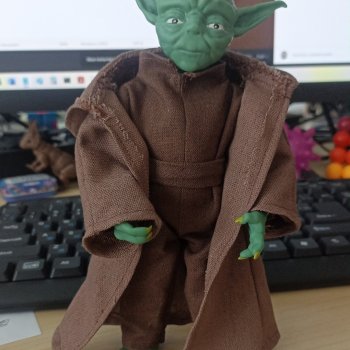 Мой Мастер Йода