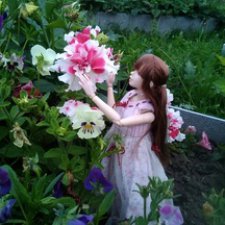 Алиса в Стране Цветов