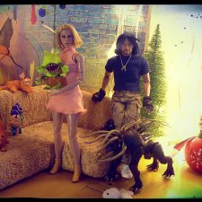 Немного о домашних питомцах