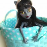 В нашем доме поселилась Киса Монстер Хай