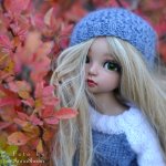 Осенний фотосет MiniFee Ante