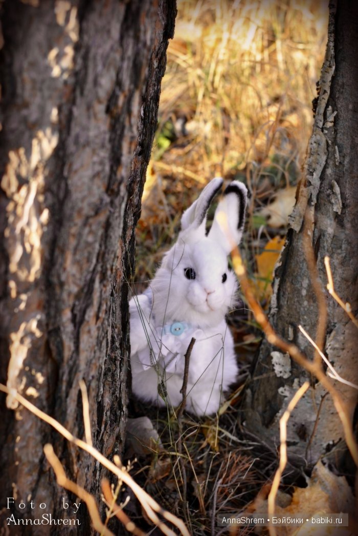 По мотивам сказки "Алиса в стране чудес", часть 1 (фото 3)