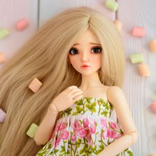 Волшебные Минифи (моя коллекция)