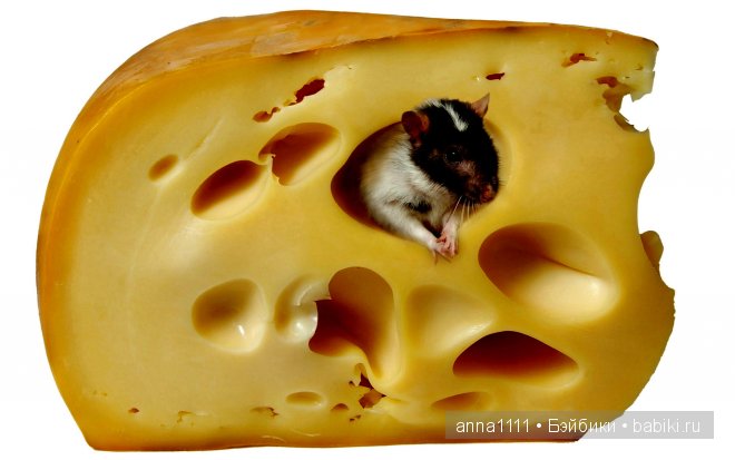 Любителям крысок посвящается