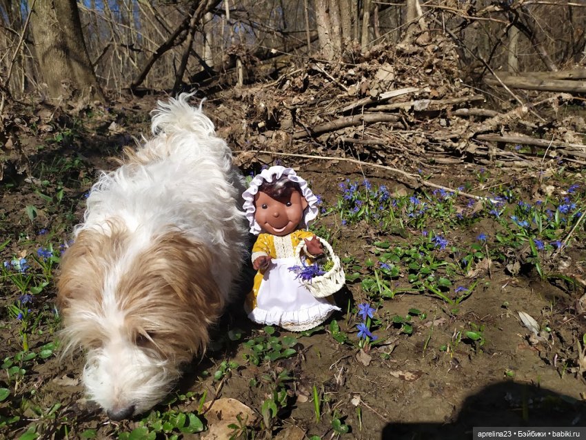 Однако, здравствуйте, знакомьтесь, Ухти-Тухти (фото 5)