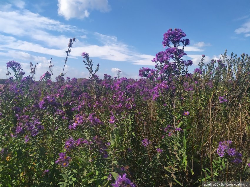 Осенняя прогулка близ Гуамского ущелья (фото 2)