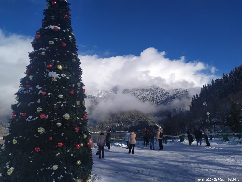 Путешествие Норы к озеру Рица 06.01.2024 (фото 2)