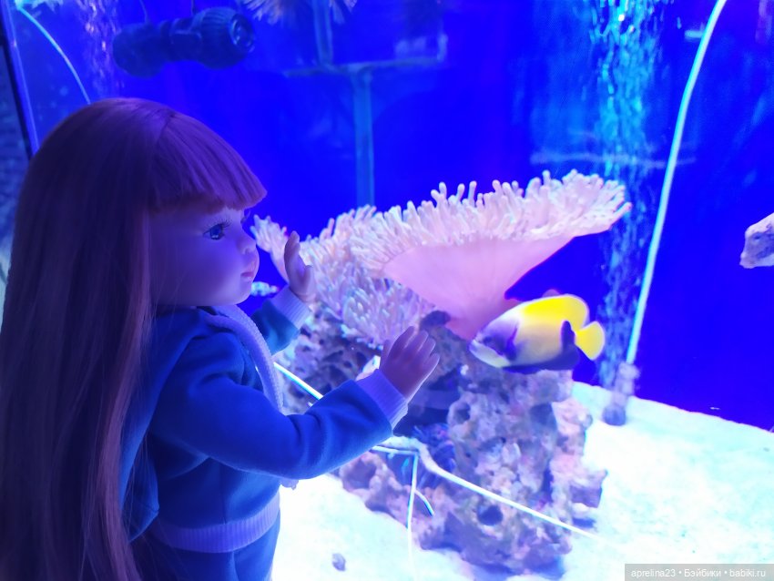Люмита в океанариуме "РИФ" г.Анапа (фото 4)