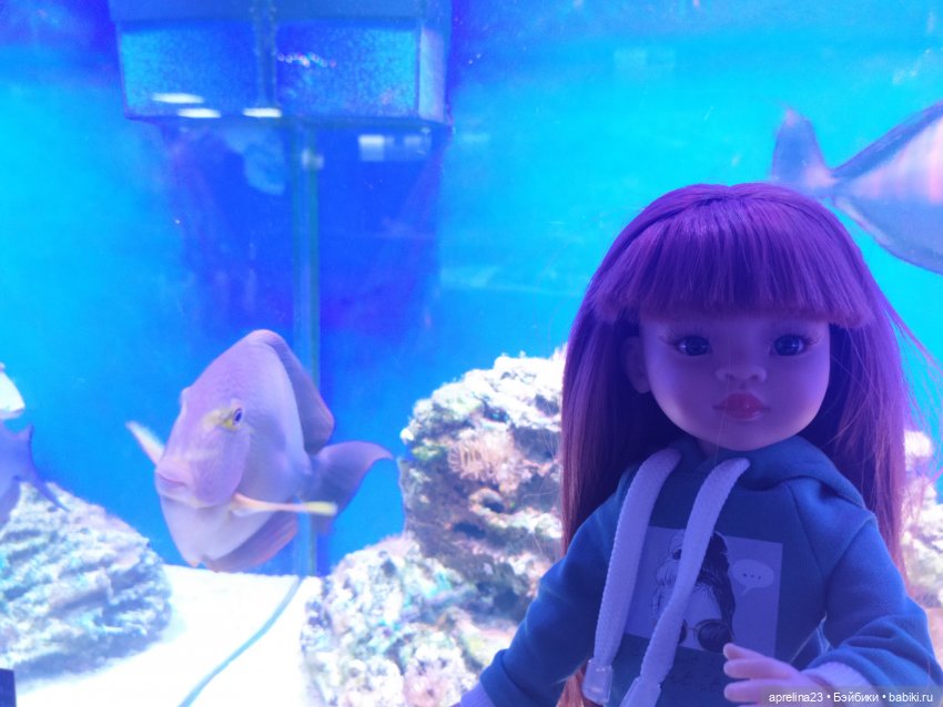 Люмита в океанариуме "РИФ" г.Анапа (фото 6)