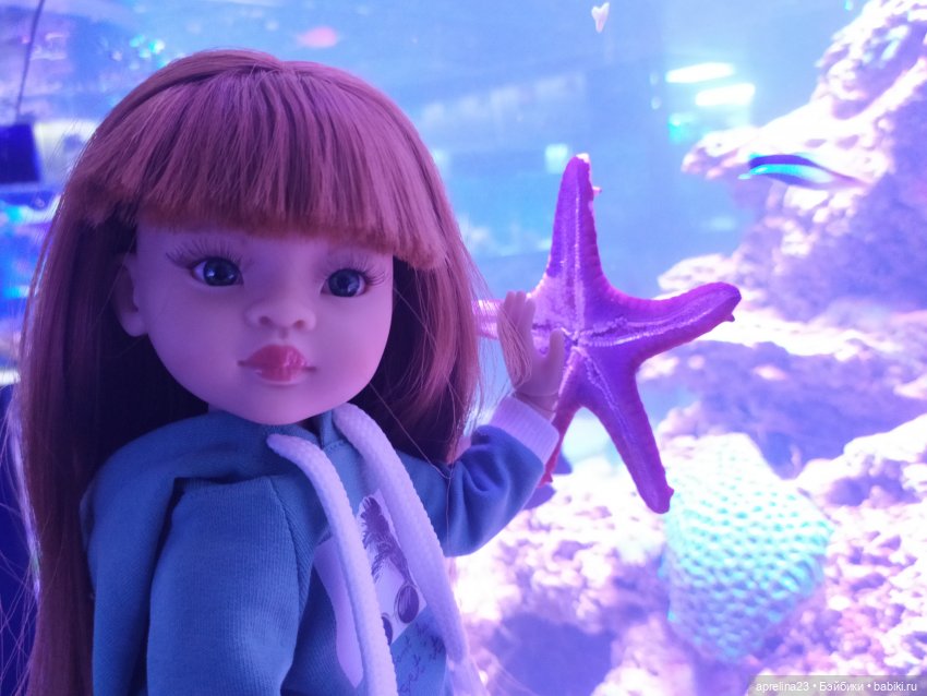 Люмита в океанариуме "РИФ" г.Анапа (фото 5)