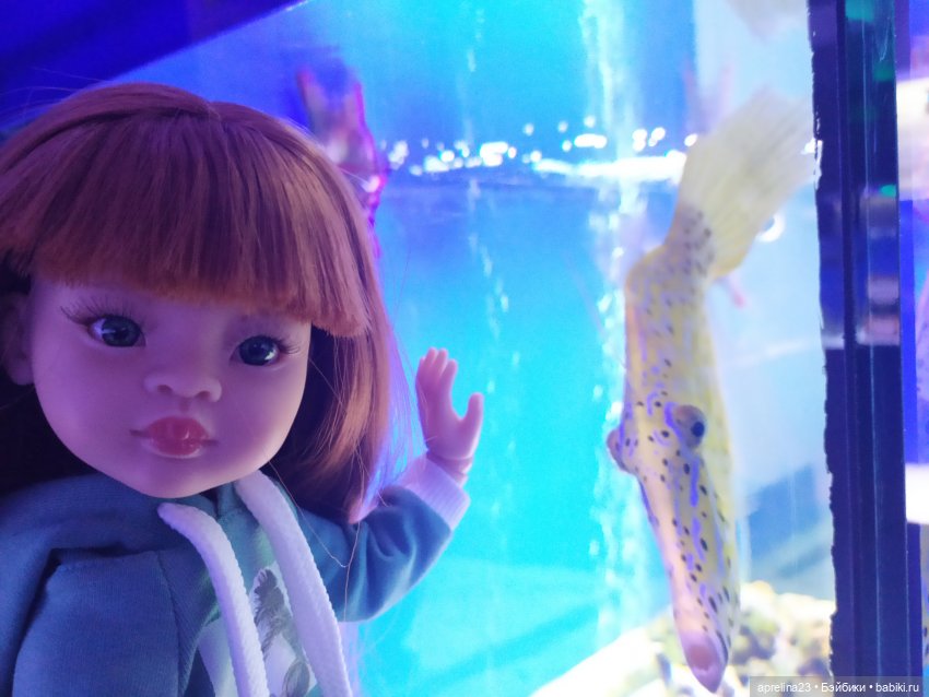 Люмита в океанариуме "РИФ" г.Анапа (фото 3)