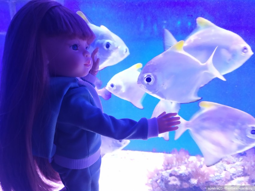 Люмита в океанариуме "РИФ" г.Анапа (фото 2)