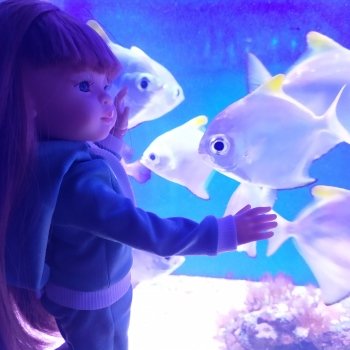 Люмита в океанариуме "РИФ" г.Анапа