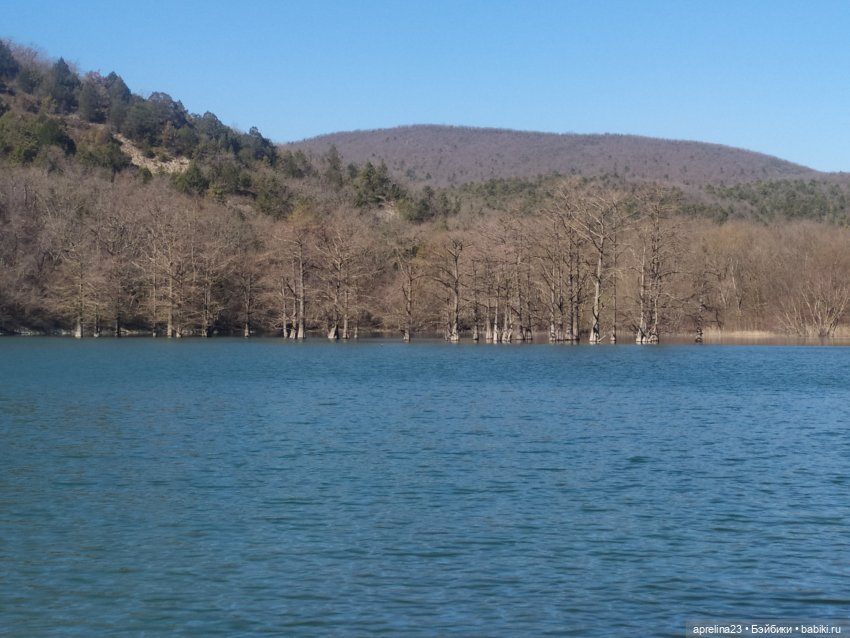 Прогулка к Кипарисовому озеру п.Сукко Анапа (фото 4)