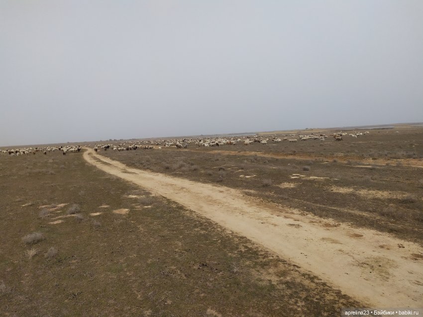 Люмита в фантастической Калмыкии (фото 7)