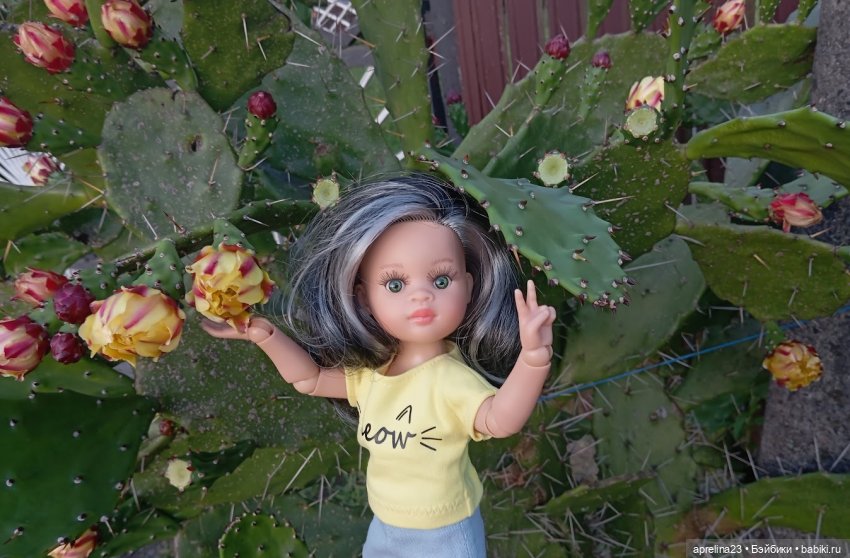 Путешествие к пещере Симона Канонита, Абхазия (фото 2)