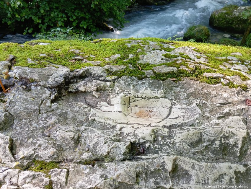 Путешествие к пещере Симона Канонита, Абхазия