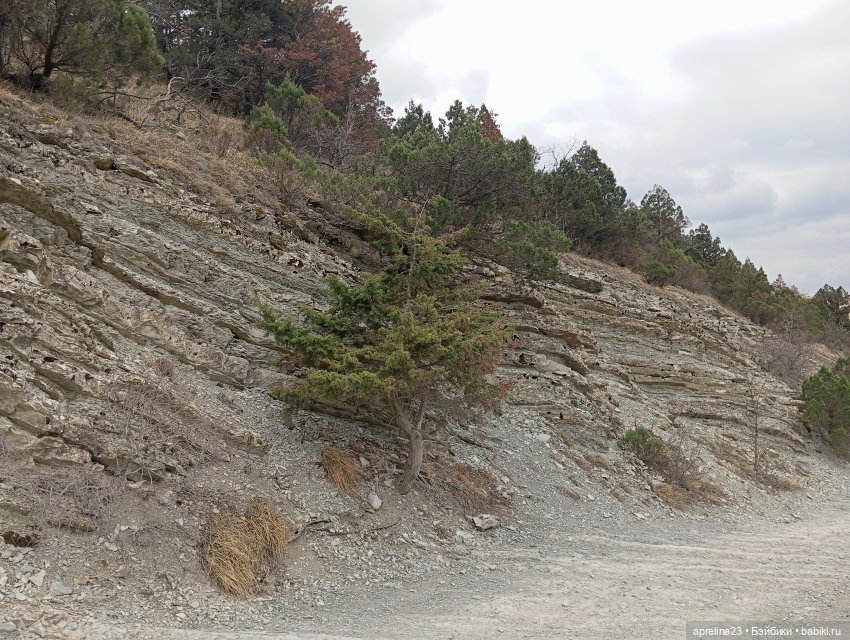 «Рука Свободы» без «руки», только свобода) г. Геленджик