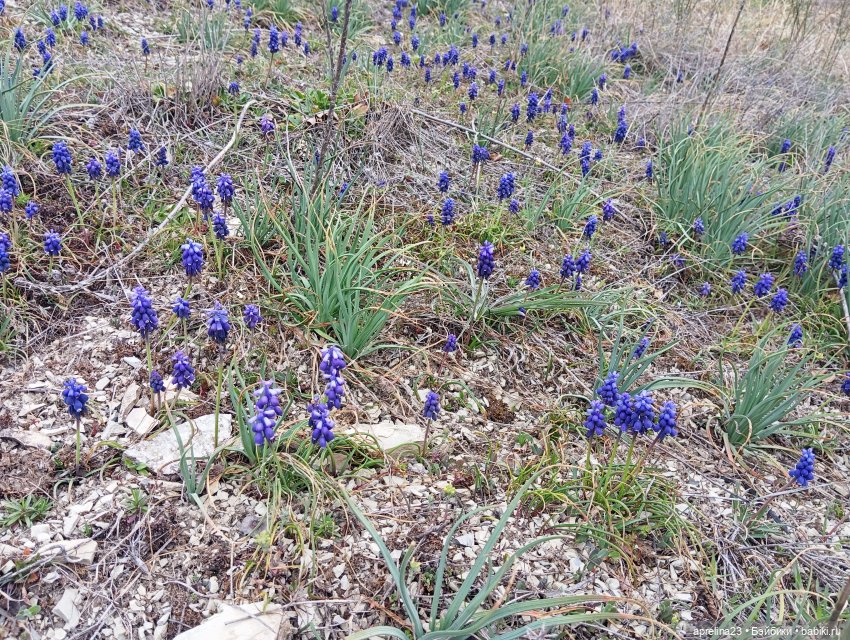 «Рука Свободы» без «руки», только свобода) г. Геленджик