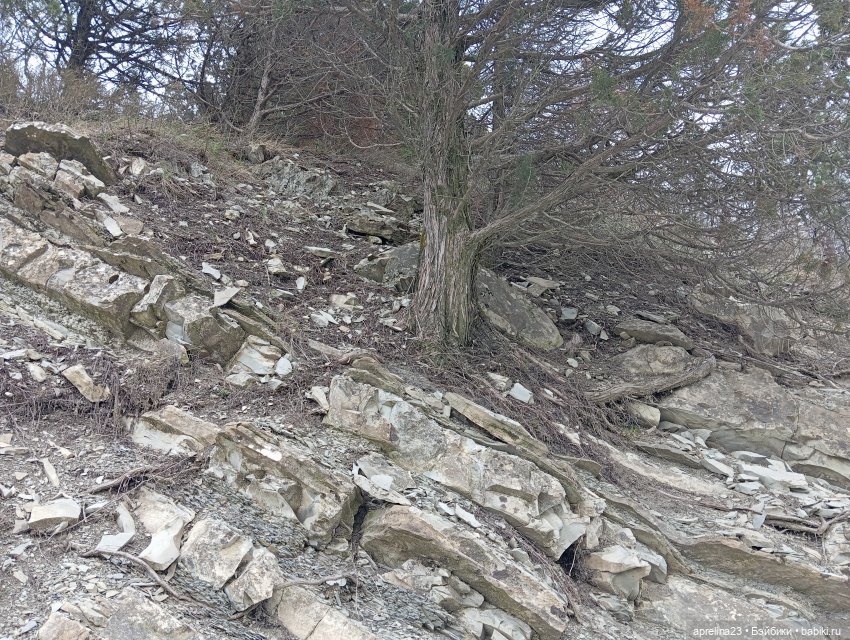 «Рука Свободы» без «руки», только свобода) г. Геленджик (фото 10)