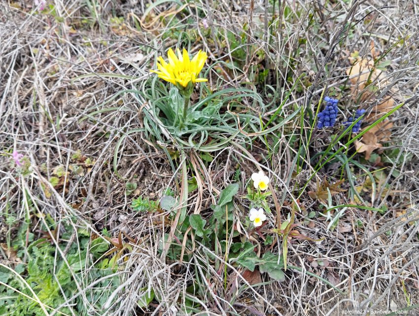 «Рука Свободы» без «руки», только свобода) г. Геленджик