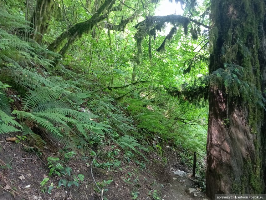 Белые скалы, Сочи. Не дошли (фото 8)