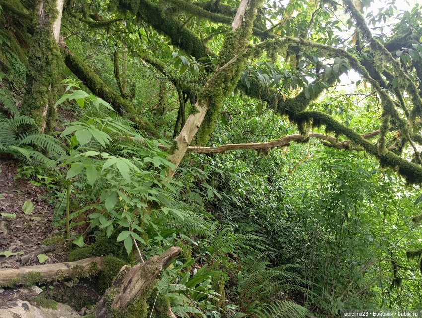 Белые скалы, Сочи. Не дошли (фото 3)