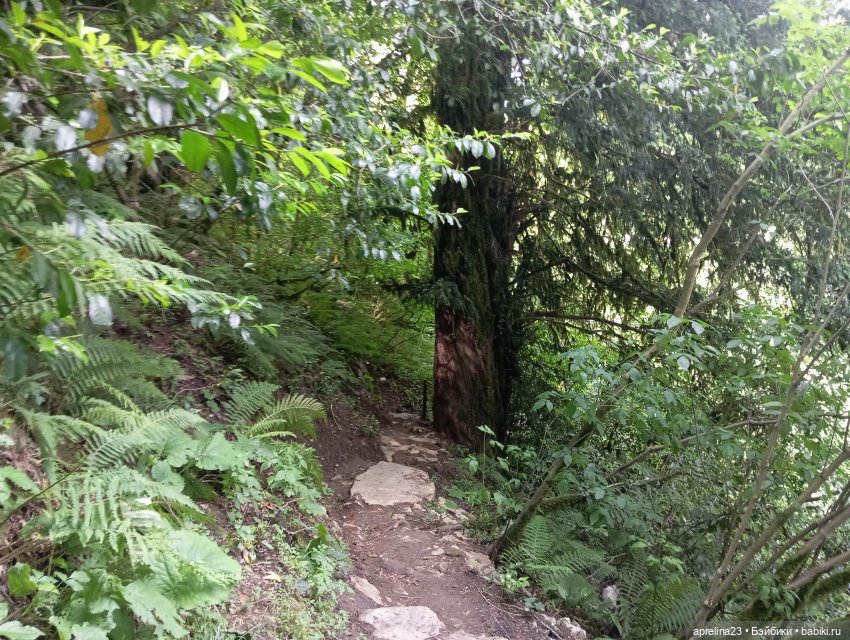 Белые скалы, Сочи. Не дошли (фото 2)