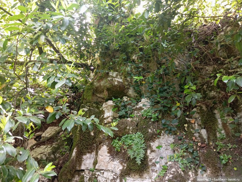 Белые скалы, Сочи. Не дошли (фото 6)