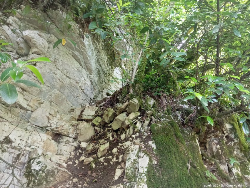 Белые скалы, Сочи. Не дошли (фото 9)