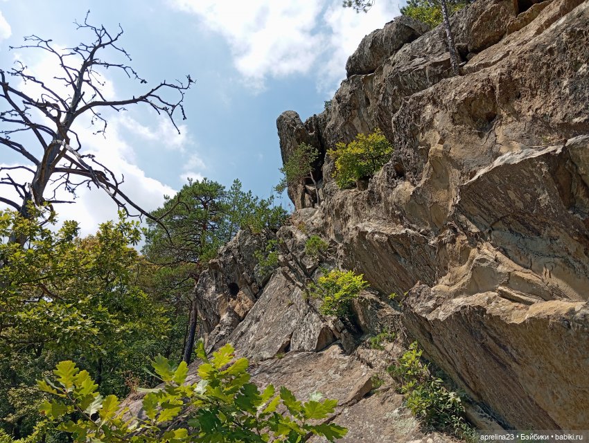 Золотые камни Кавказского предгорья