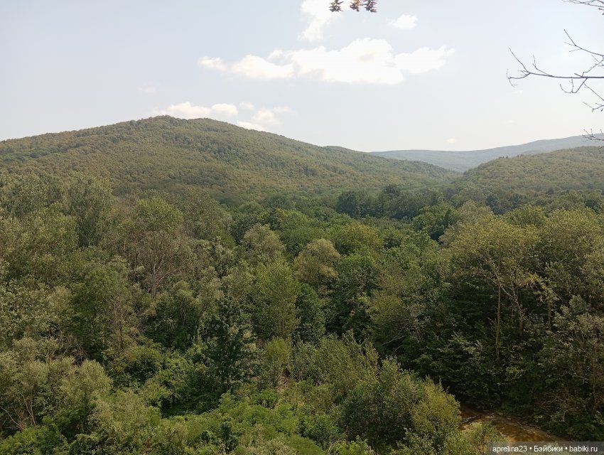 Золотые камни Кавказского предгорья (фото 5)