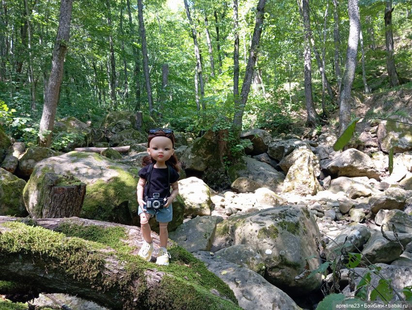 Золотые камни Кавказского предгорья (фото 7)