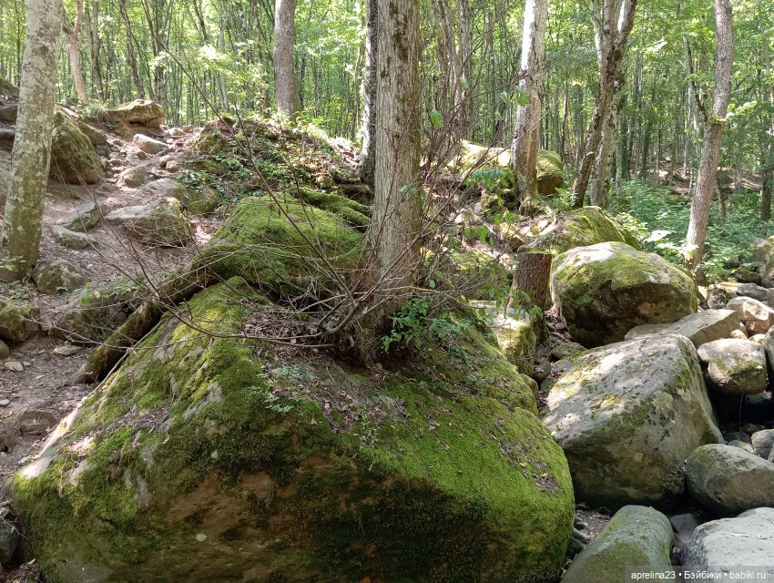 Золотые камни Кавказского предгорья (фото 6)