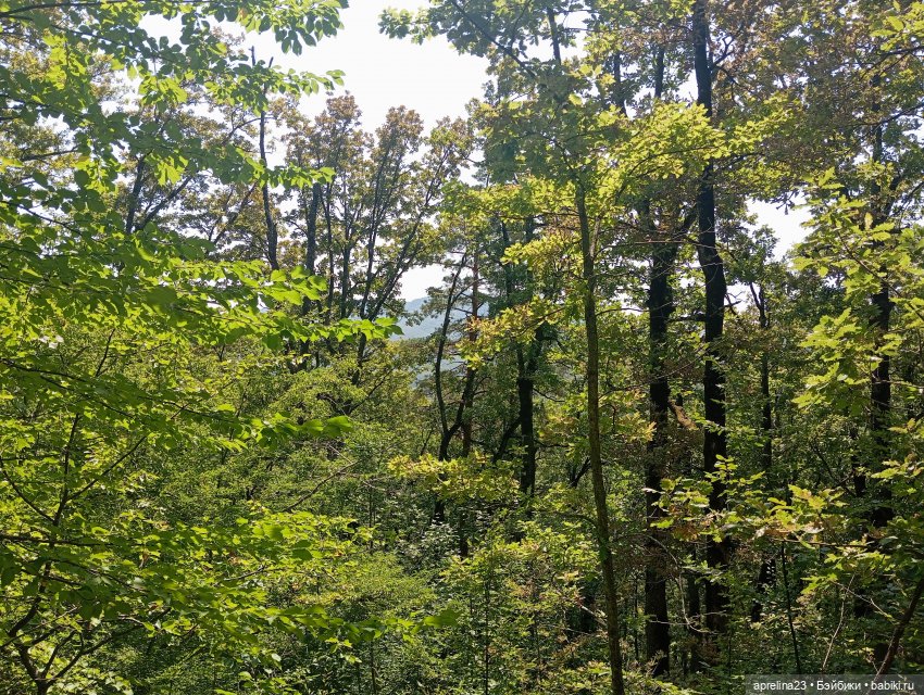 Золотые камни Кавказского предгорья