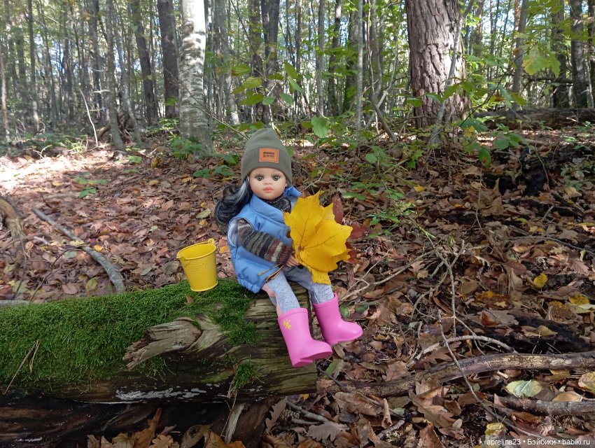 Как Нора за грибами ходила (фото 3)